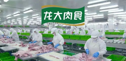 供需失衡下的藍(lán)海機(jī)遇 解析有機(jī)肥市場(chǎng)補(bǔ)缺路徑
